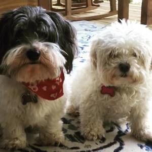 Meet your Posher, Karen